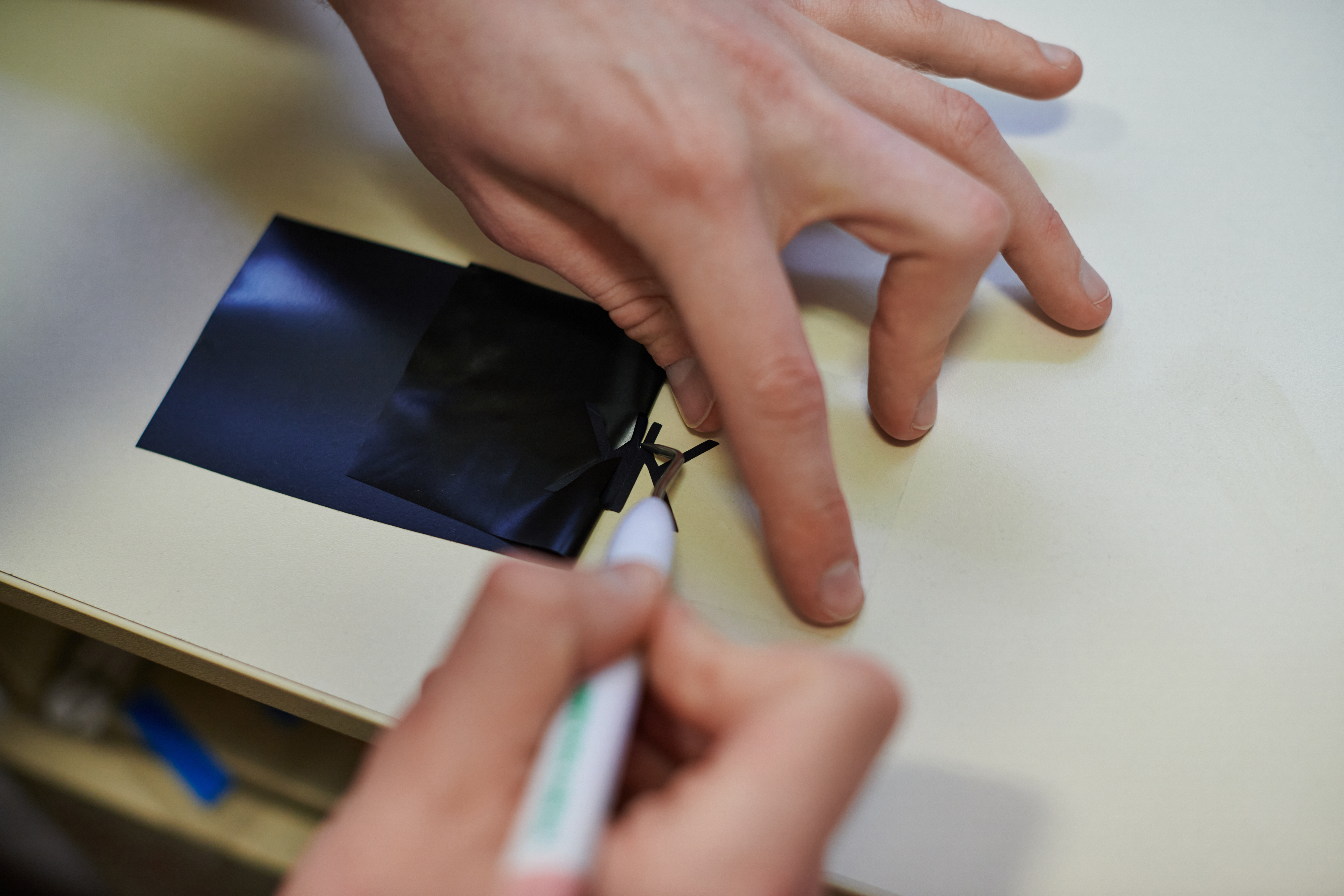 main de femme entrain d'echeniller une feuille de flex noir